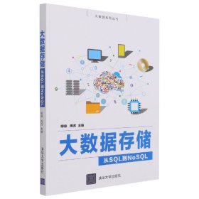 大数据存储——从SQL到NoSQL（大数据系列丛书）