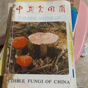 中国食用菌 1987 1-6