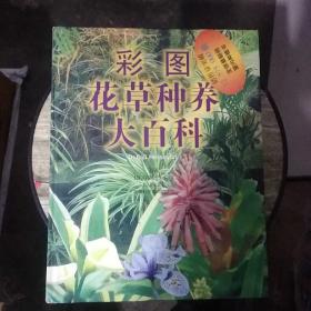 彩图花草种养大百科