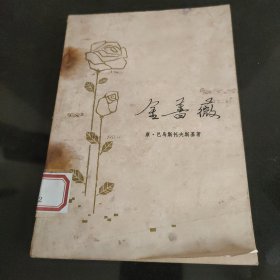 金蔷薇（1980）