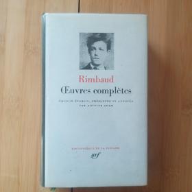 LA PLEIADE / Rimbaud : Oeuvres complètes / completes Ed. Antoine Adam 兰波《全集》(诗歌、散文、书信、研究等) 七星文库 法语原版