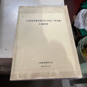 中国高等教育现代化2030（学术版）汇报材料