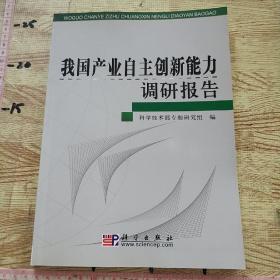 我国产业自主创新能力调研报告