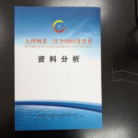 大理州第三次全国经济普查资料分析