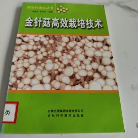 金针菇高效栽培技术
