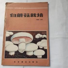 白蘑菇栽培-经济生物丛书(32开 科学普及出版社