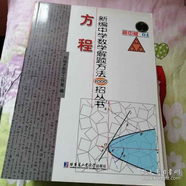 新编中学数学解题方法1000招丛书：方程（高中版）