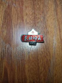 早期 东北师大研究生毕业纪念章