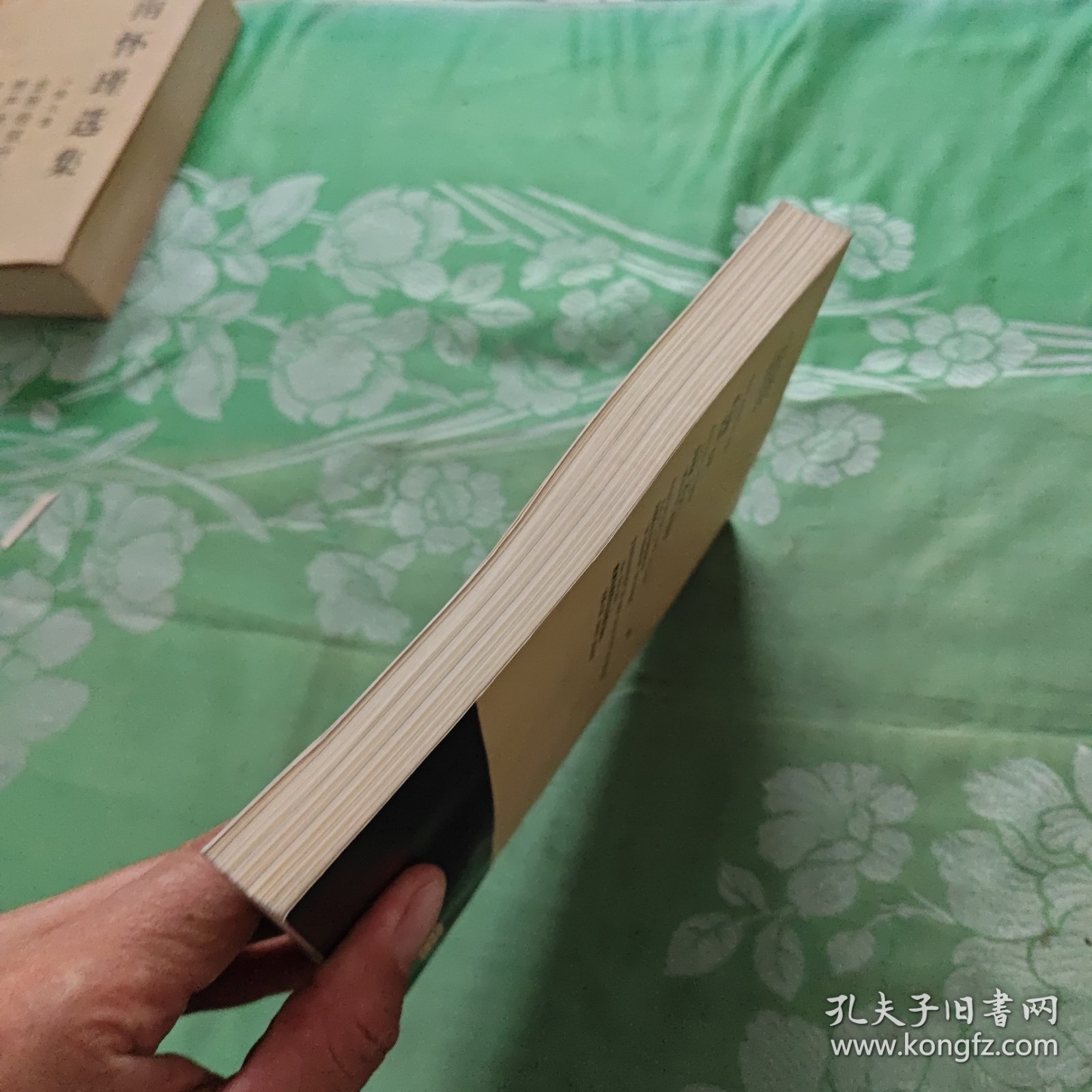 抉择:对现实存在的社会主义的批判