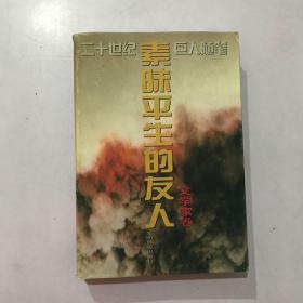 二十世纪巨人随笔-素昧平生的友人-文学家卷