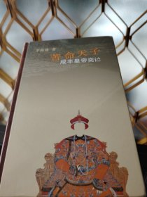 苦命天子：咸丰皇帝