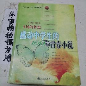 飞扬的梦想：感动中学生的100篇青春小说