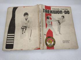 TEKNIK-TEKNIK TAEKWON-DO （跆拳道）