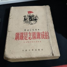 钢铁是怎样炼成的（苏联文艺丛书）