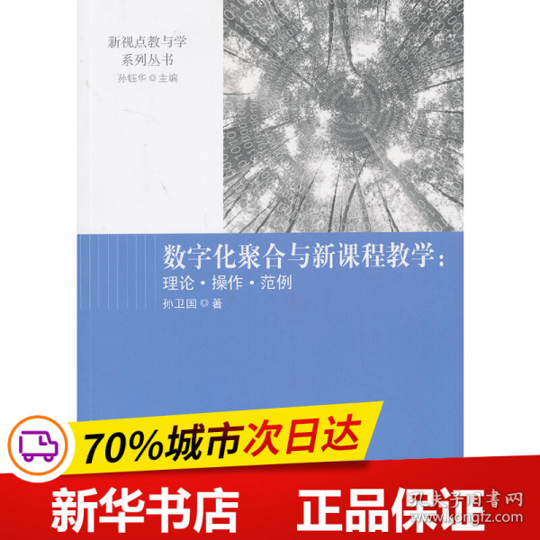 数字化聚合与新课程教学 : 理论·操作·范例