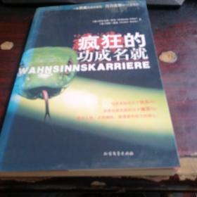 疯狂的功成名就：一本另类的成功寓言，刀刀见骨的17条准则