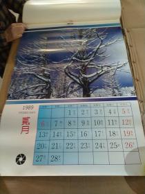 挂历1989年  吉祥如意 (缺5月.7月.)