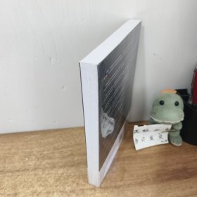 固收+策略投资——探寻债券与股票的平衡术