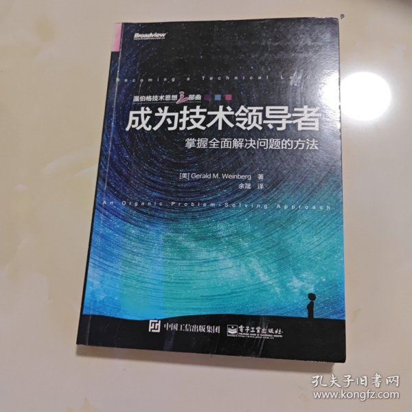 成为技术领导者：掌握全面解决问题的方法