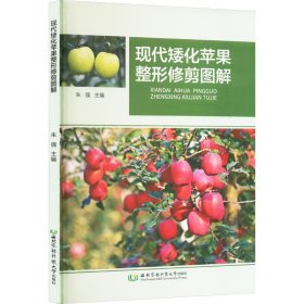 現(xiàn)代矮化蘋果整形修剪圖解 種植業(yè) 朱強 編 新華正版