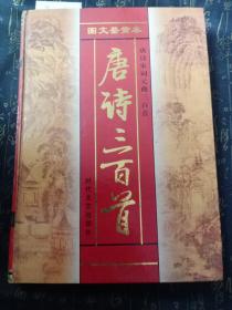 唐诗、宋词、元曲三百首：发条鸟年代记 第三部