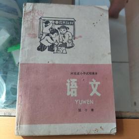 河北省小学试用课本语文第十册