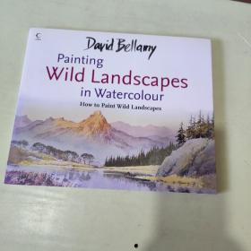 David Bellamy's Painting Wild Landscapes in Watercolour （横16开） 【765】戴维·贝拉米的水彩画