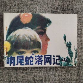 “响尾蛇”落网记（中）