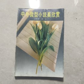 中外微型小說美欣賞