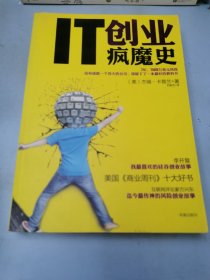 IT创业疯魔史