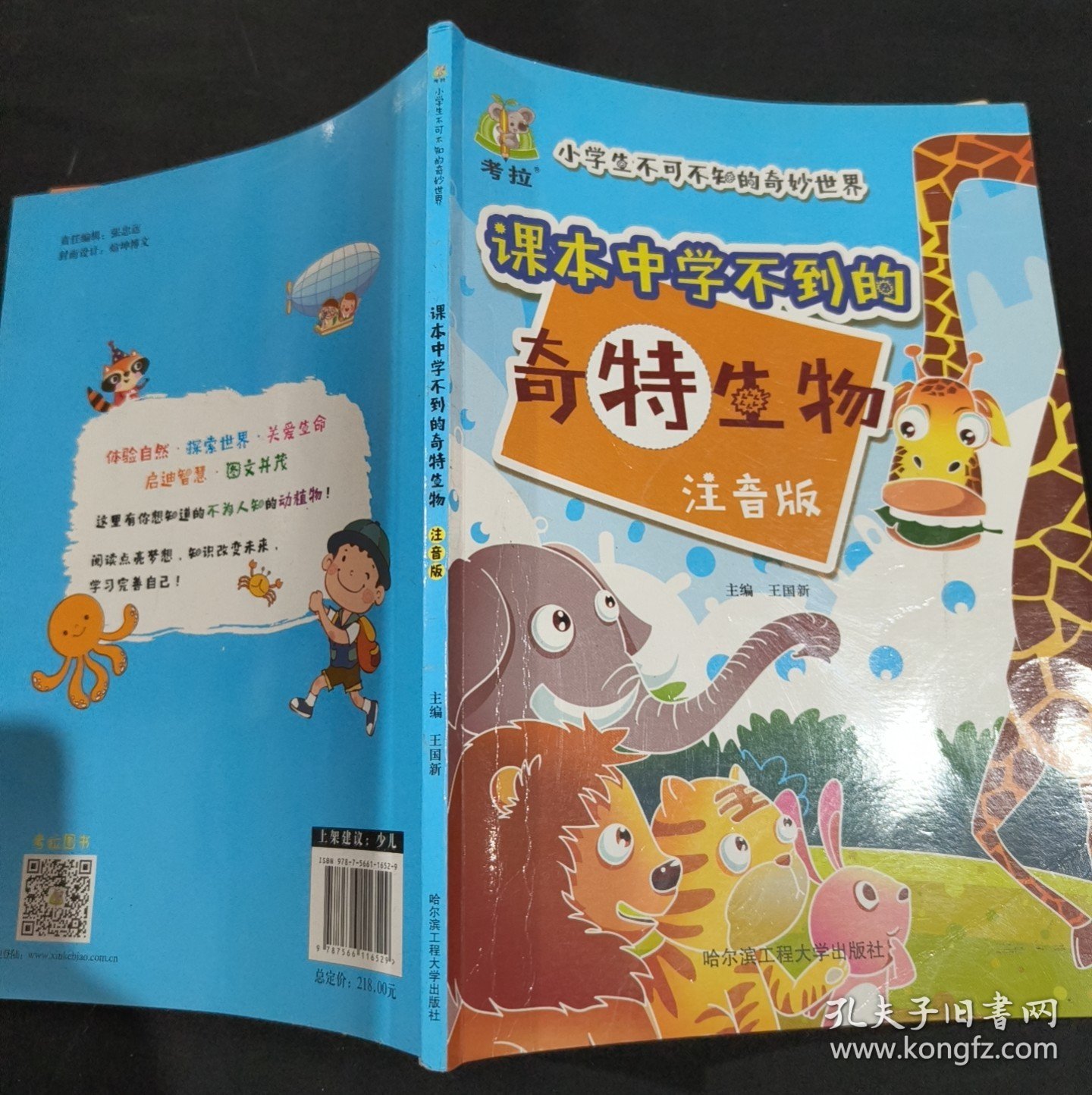 小学生不可不知的奇妙世界 课本中学不到的天文知识