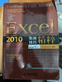 Excel 2010实战技巧精粹