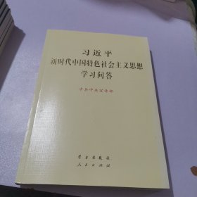 习近平新时代中国特色社会主义思想学习问答大字版