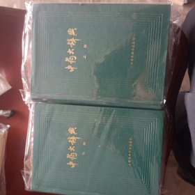 中药大词典（上下）