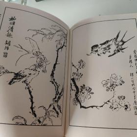 芥子园画传 第三集 花卉翎毛（精装）