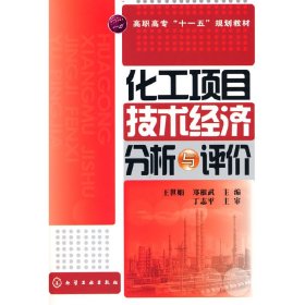 化工項(xiàng)目技術(shù)經(jīng)濟(jì)分析與評(píng)價(jià)(王世娟)