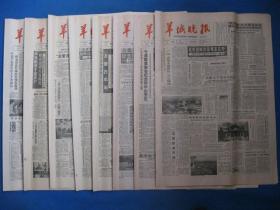 原版老报纸 羊城晚报 1986年11月10日 11日 12日 13日 14日 15日 16日 17日（单日价格）