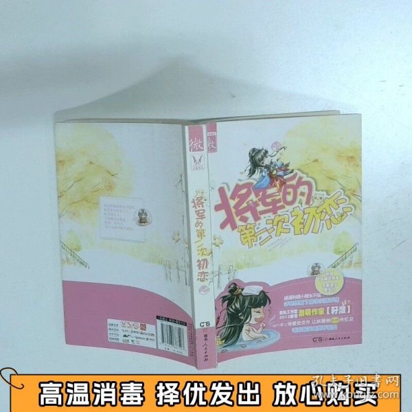 将军的第二次初恋