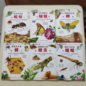 小昆虫大探秘---社会活动家 蚂蚁、蝴蝶、蝉、蜂、蝗虫、蜻蜓（6本合售）