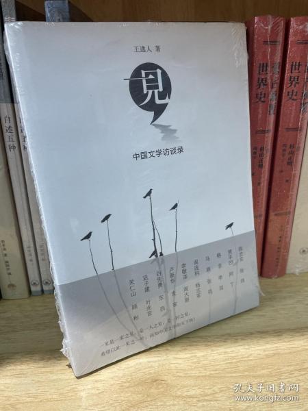一见：中国文学访谈录