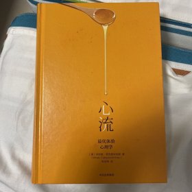 心流：最优体验心理学