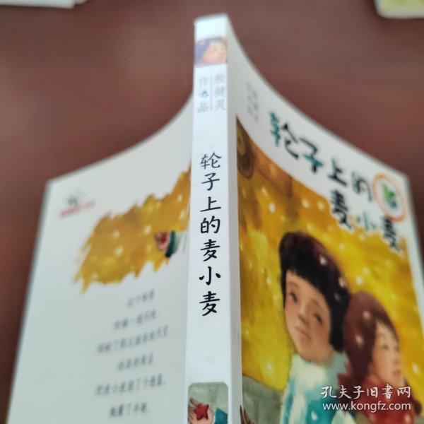 轮子上的麦小麦——国际林格伦纪念奖2013 年度提名作者；悬念迭起，幽默而忧伤，成长往往在一夜之间（蒲公英童书馆出品）