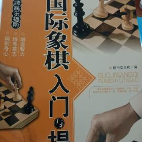 棋牌娱乐指南：国际象棋入门与提高