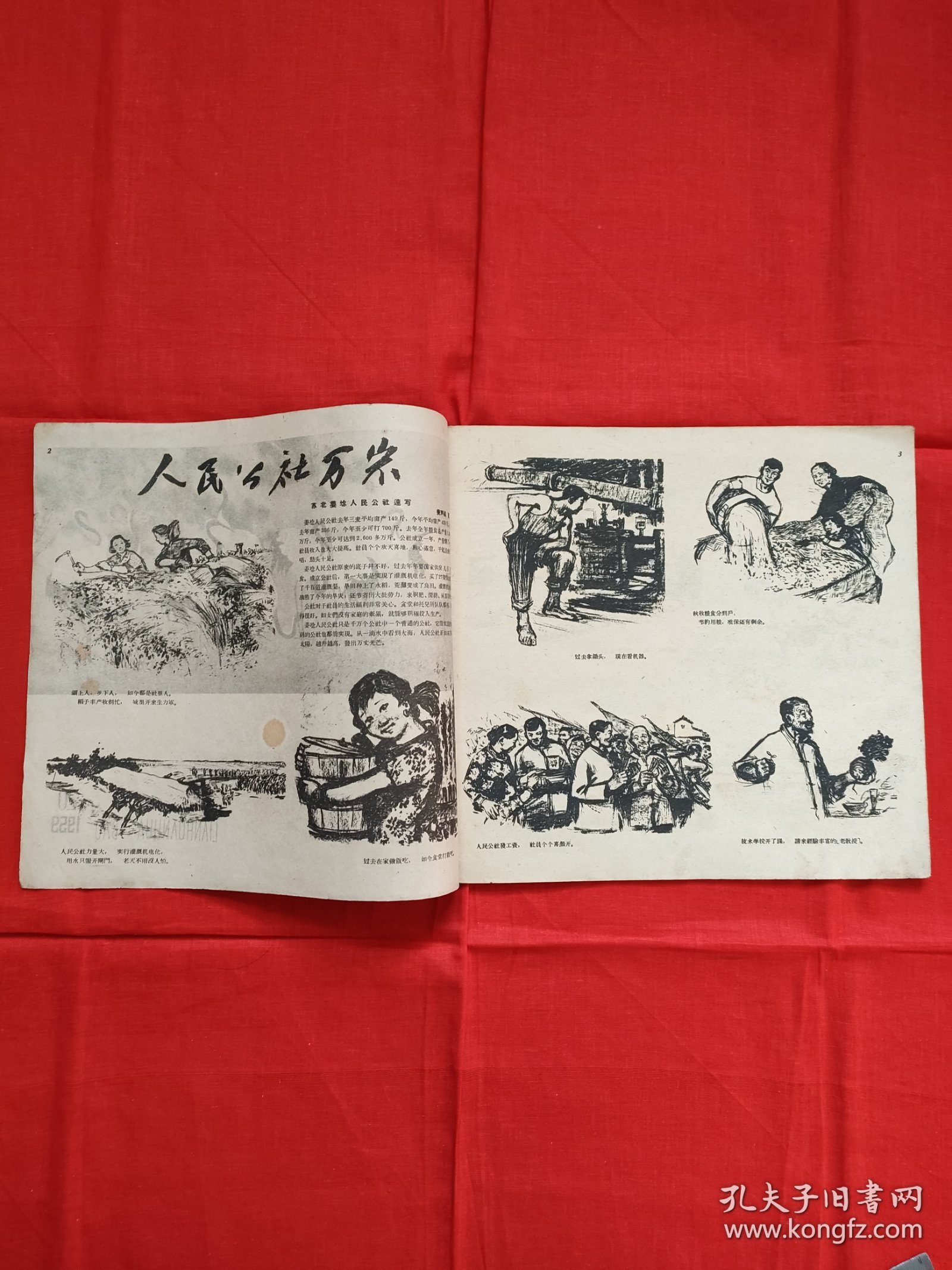 连环画报1959年20期