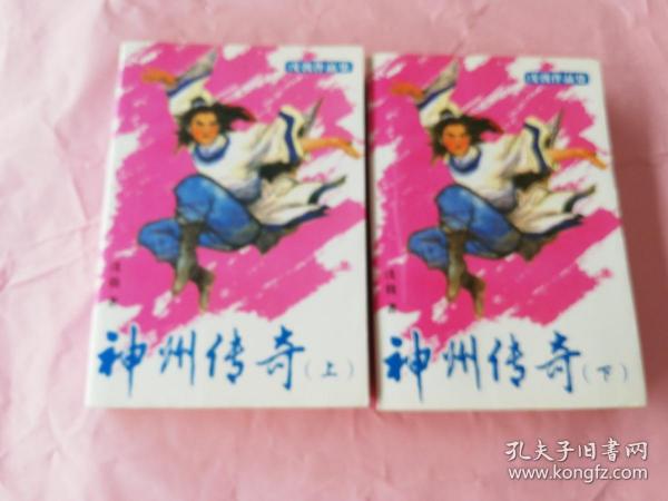 戊戟武侠小说——神州传奇 上下册全（大32开、2009年1版2印）