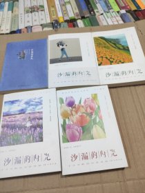 沙漏的时光，2014，2017.2018.2019.2020.(共五本合售)