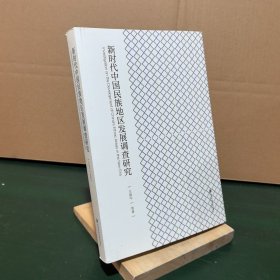 新时代中国民族地区发展调查研究