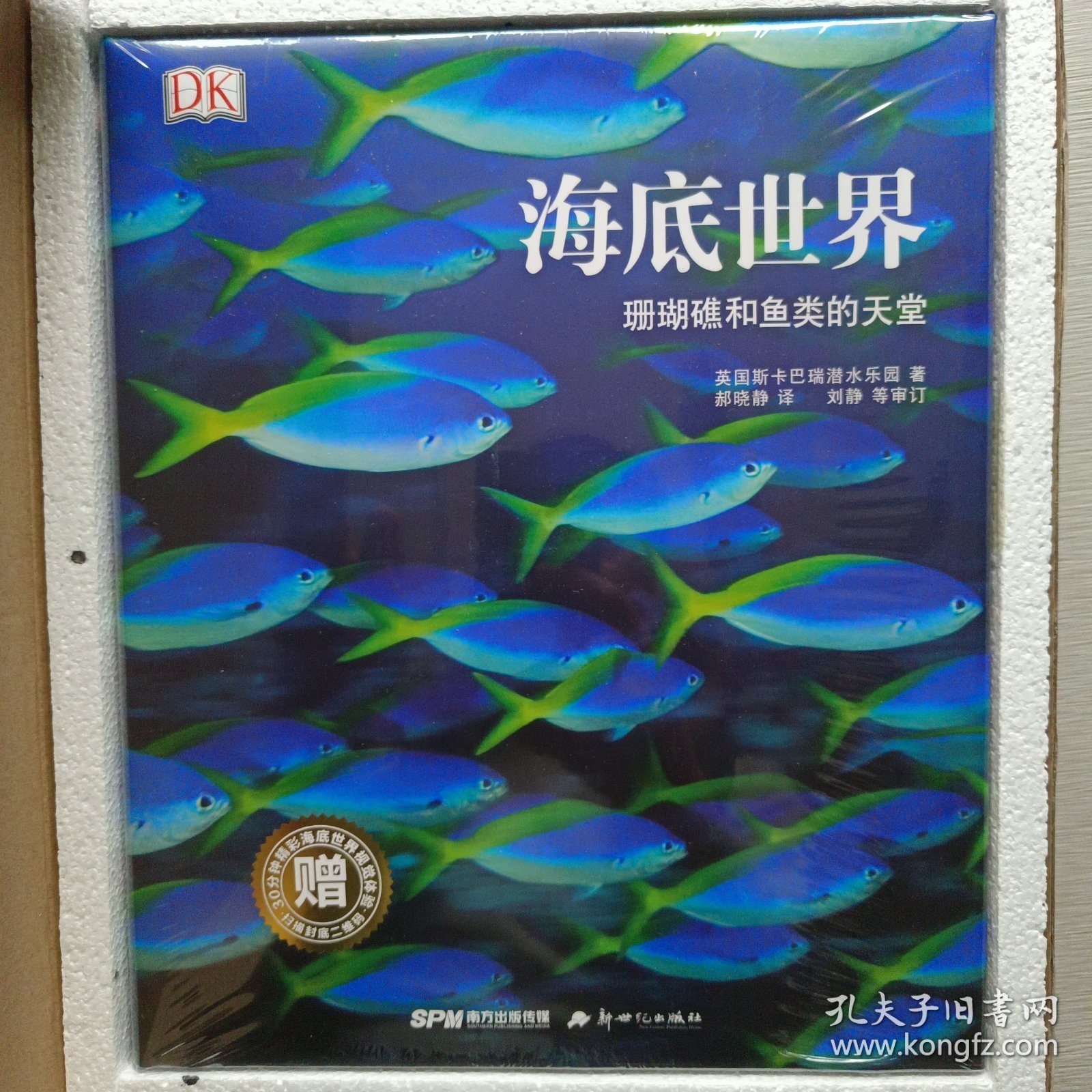 海底世界 珊瑚礁和鱼类的天堂