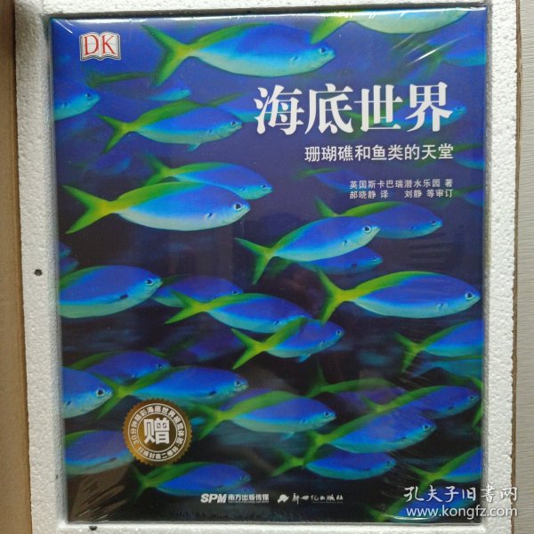 海底世界 珊瑚礁和鱼类的天堂