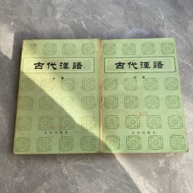 古代汉语 （上中册）